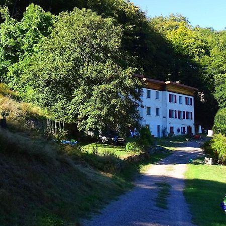 Domaine L'Imperatrice Lejlighed Plombières-les-Bains Eksteriør billede